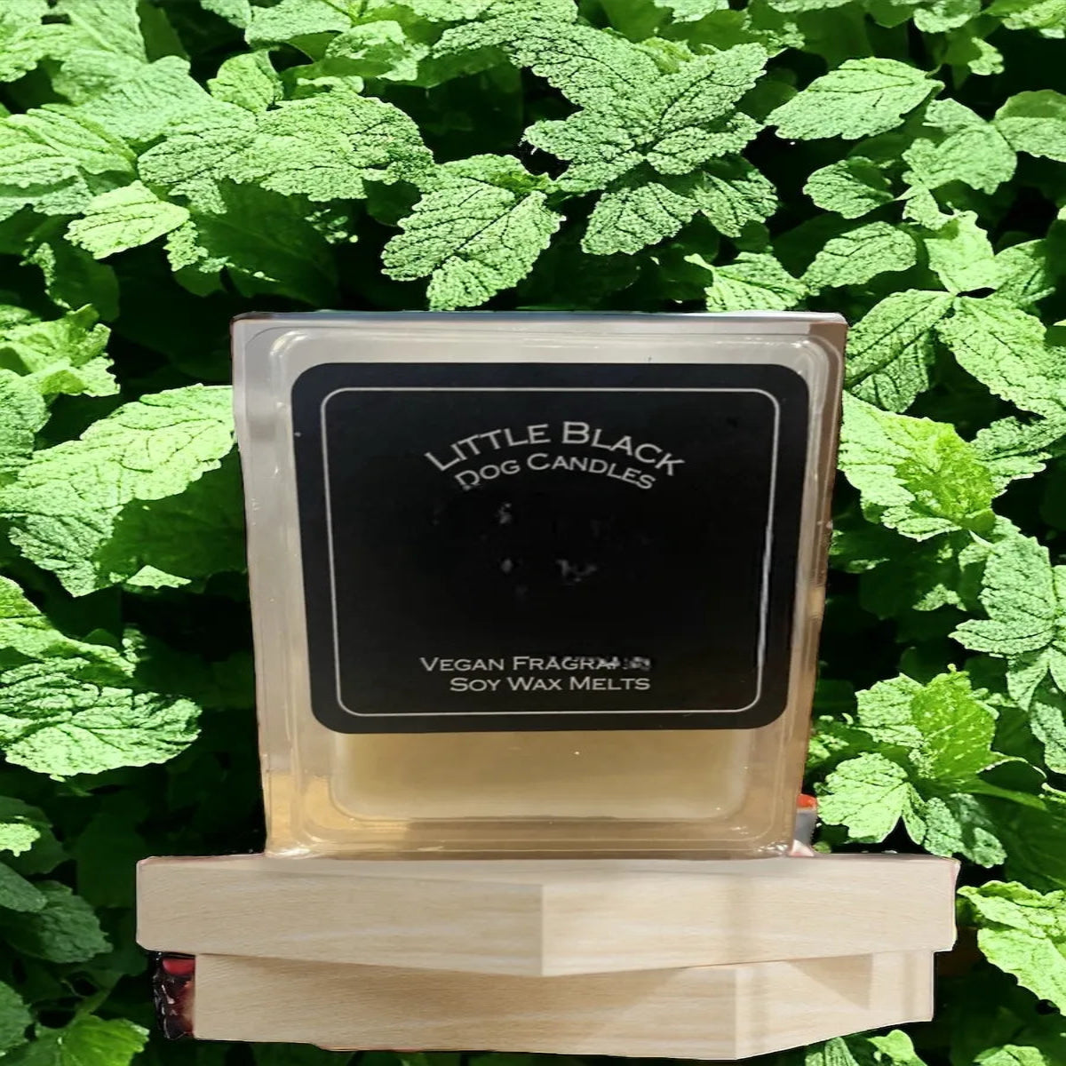 Eucalyptus and Mint fragranced soy wax melts