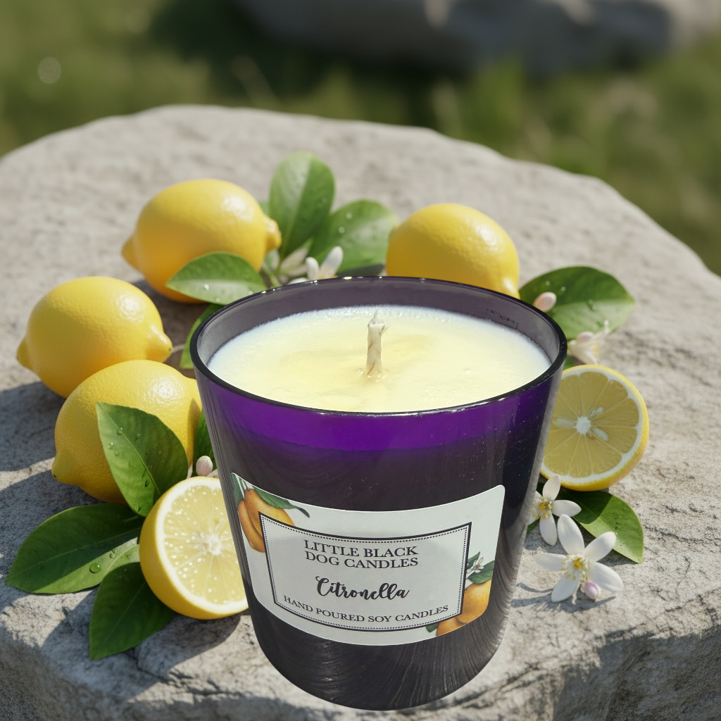 Citronella and Lemongrass candle
