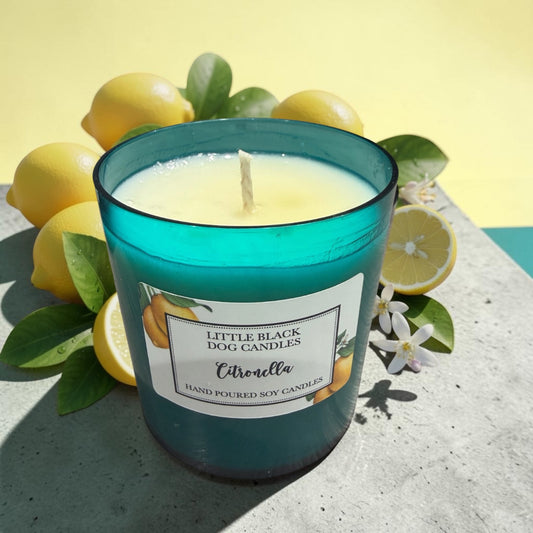 Citronella and Lemongrass candle