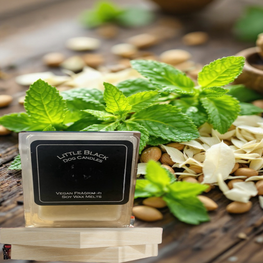 Wild Mint fragranced soy wax melts