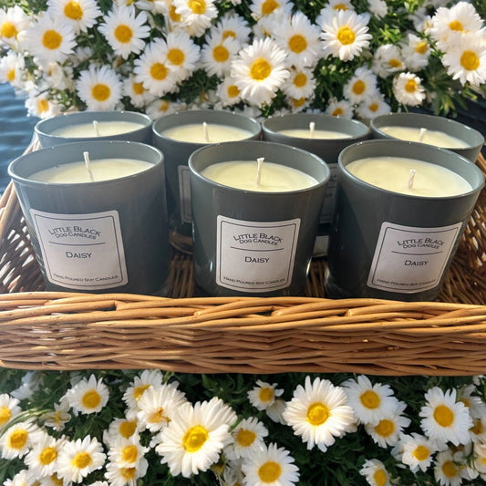 Daisy fragranced vegan soy wax candle