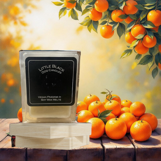 Sweet Orange fragranced soy wax melts