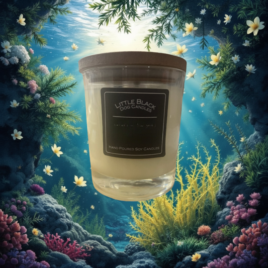 Seaweed and Juniper fragranced soy wax candle