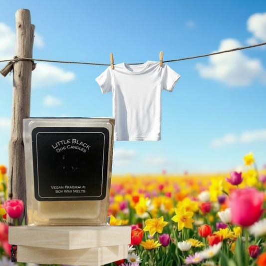 Spring Awakening fragranced soy wax melts